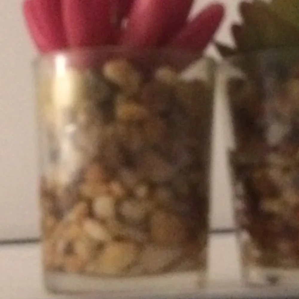 West Elm Faux Potted Mini Succulent